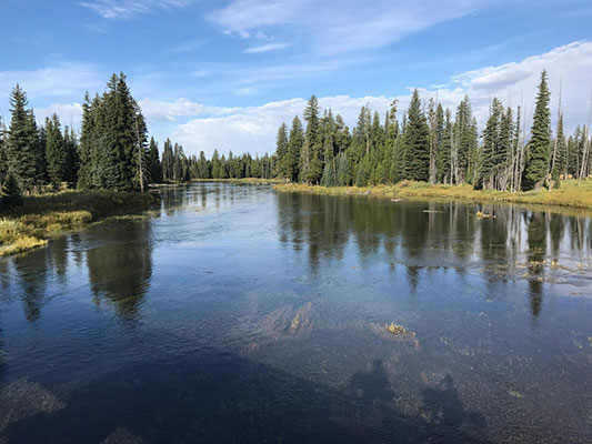 Crossing at Henry's Fork