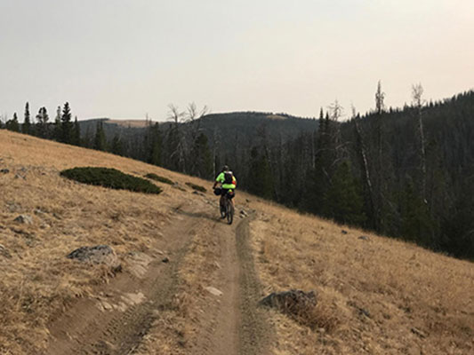 The trail just before the trees